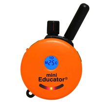 Load image into Gallery viewer, E-collar Finger Trainer Bundle with Quick Release Collar